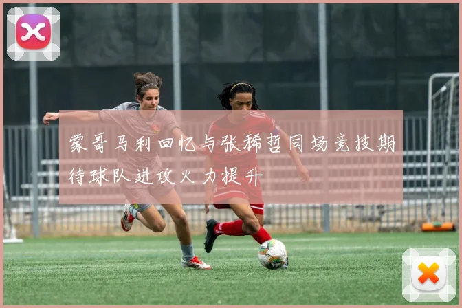 蒙哥马利回忆与张稀哲同场竞技期待球队进攻火力提升
